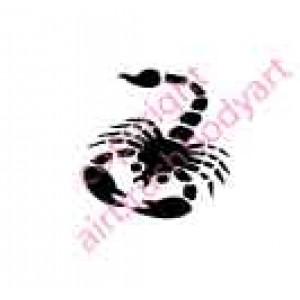 0033 scorpion re-usable stencil