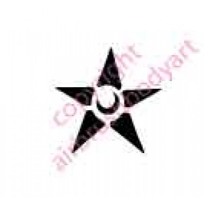 0092 star re-usable stencil