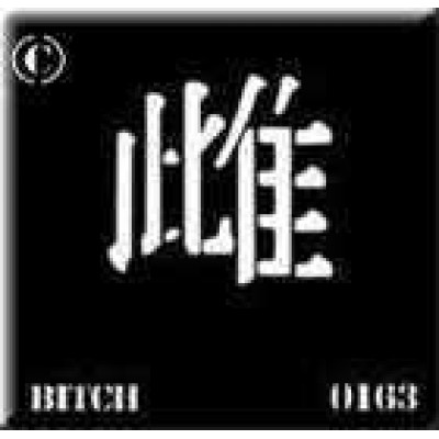 0163 reusable kanji / chinese writing bitch stencil