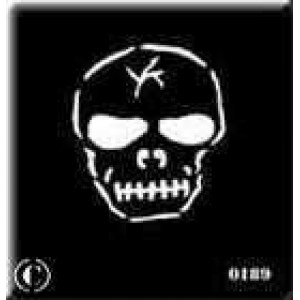 0189 reusable skull stencil
