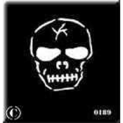 0189 reusable skull stencil