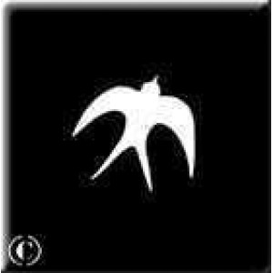 0194 reusable swallow stencil