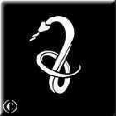 0196 reusable snake stencil