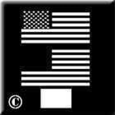 0246 reusable small US flag