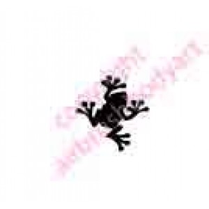 0373 frog