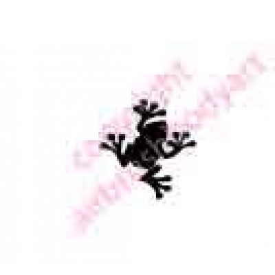 0373 frog