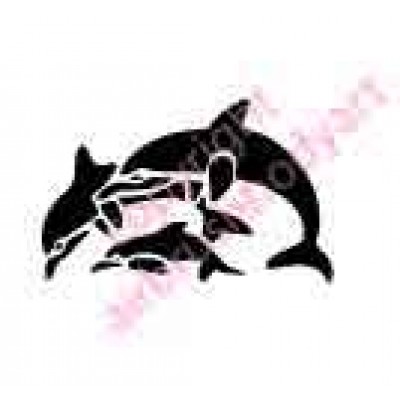 0378 dolphin family