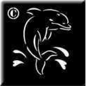 0418 reusable dolphin stencil