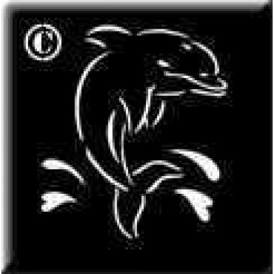 0418 reusable dolphin stencil