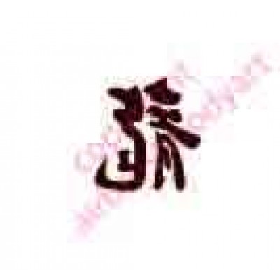 0422 kanji/chinese writing dragon