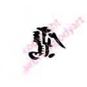 0424 kanji/chinese writing eagle