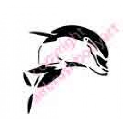 0431 dolphin