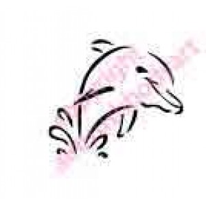0436 dolphin