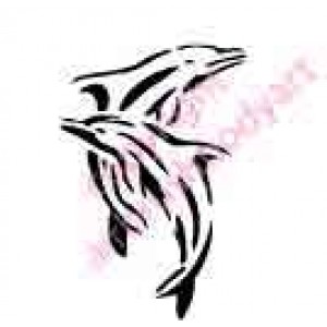 0474 twin dolphins