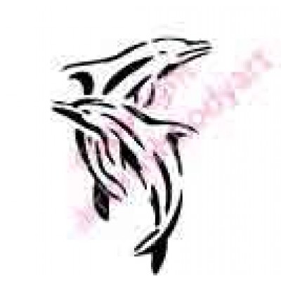 0474 twin dolphins