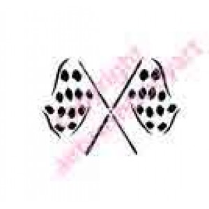 0485 chequered flag