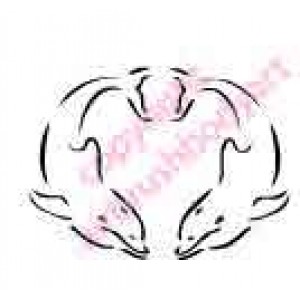 0494 dolphins