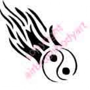 0495 flame ying yang