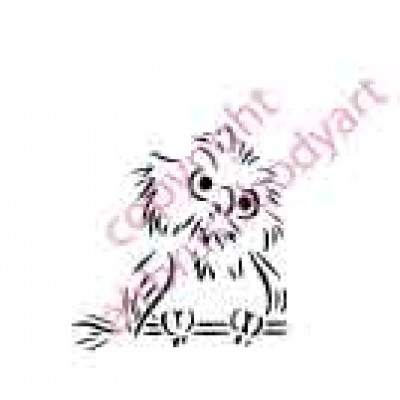 0503 owl