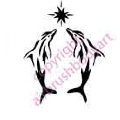 0623 dolphin star