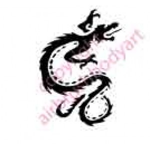 0704 dragon 0704 dragon