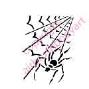 0728 spider and web