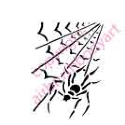 0728 spider and web