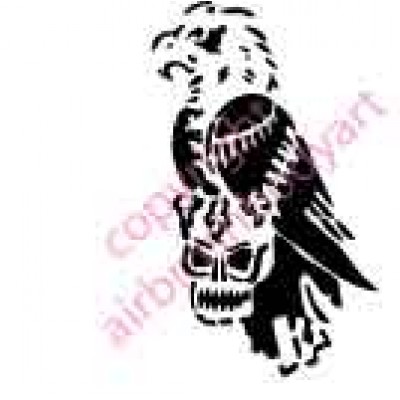 0737 eagle skull