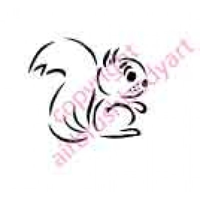 0781 squirrel