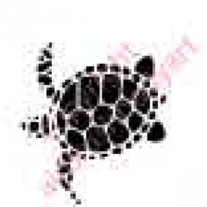 0905 turtle