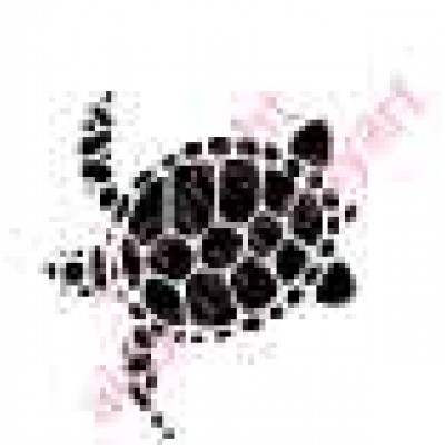 0905 turtle