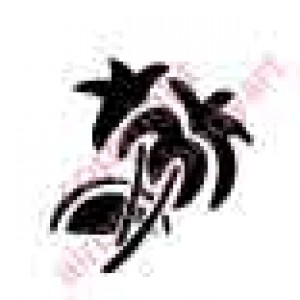 0908 tropical island