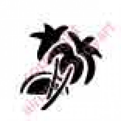 0908 tropical island