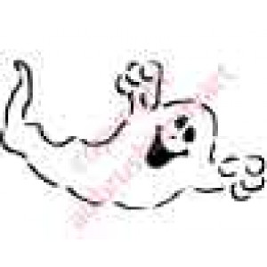 0938 ghost 0938 ghost