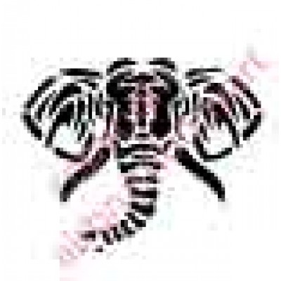 1038 tribal elephant