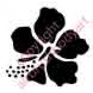 1055 hibiscus flower