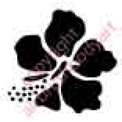 1055 hibiscus flower