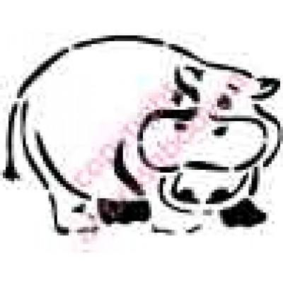 1105 hippo