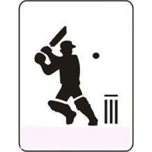 1122 reusable cricket stencil