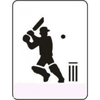 1122 reusable cricket stencil