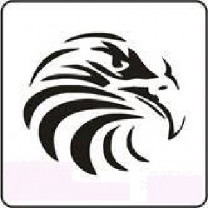 1127 reusable eagle stencil