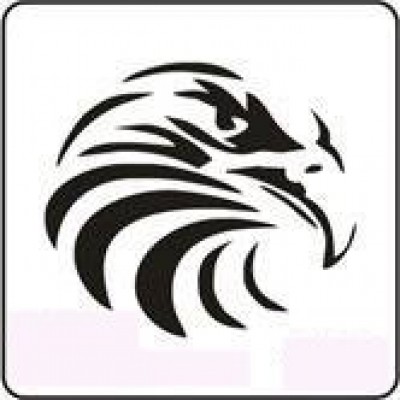 1127 reusable eagle stencil