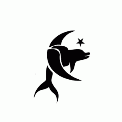 5021 dolphin stencil