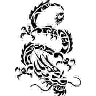 6098 dragon reusable stencil