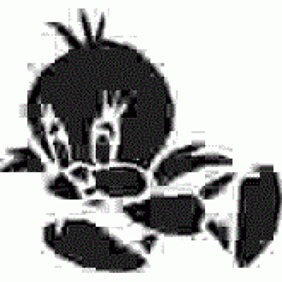 6149 bird reusable stencil