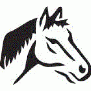 6153 horse reusable stencil