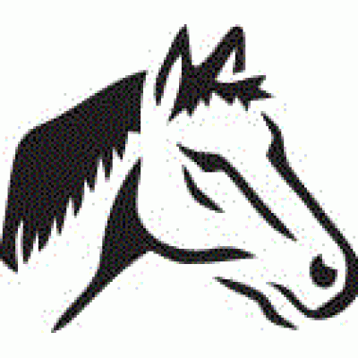 6153 horse reusable stencil