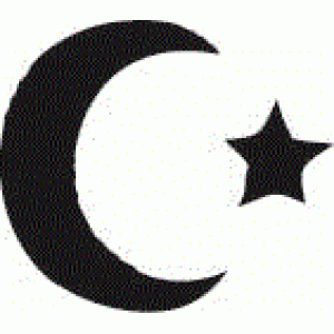 6161 moon and star reusable stencil