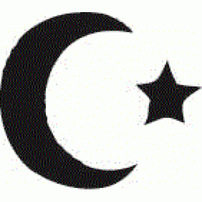 6161 moon and star reusable stencil