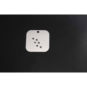 2175 Dinosaur Prints Re-Usable Stencil